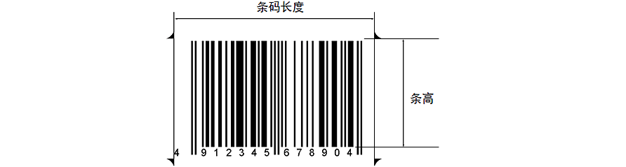 标准尺寸和放大倍数