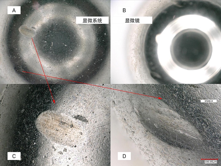 A：用数码显微系统进行观察 B：用显微镜进行观察 C：近侧面的凹陷观察 D：远侧面的凹陷观察（500×）